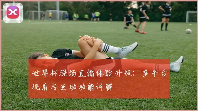 世界杯现场直播体验升级:多平台观看与互动功能详解