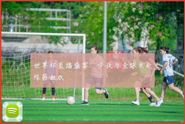 世界杯直播盛宴:今夜与全球共赴绿茵狂欢