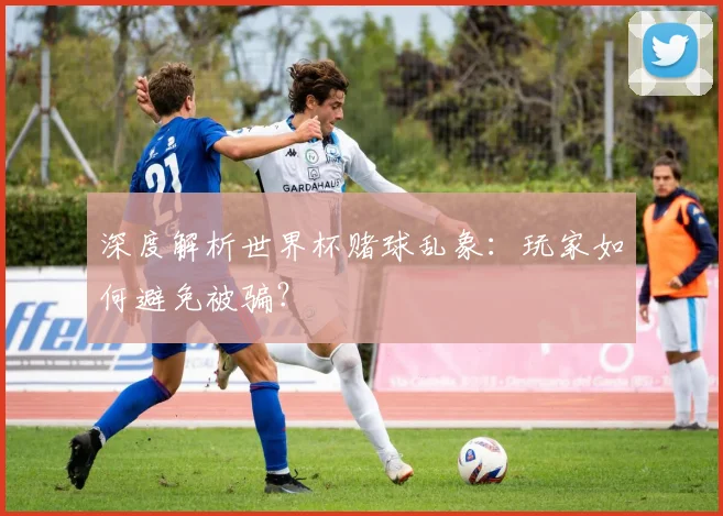 深度解析世界杯赌球乱象：玩家如何避免被骗？
