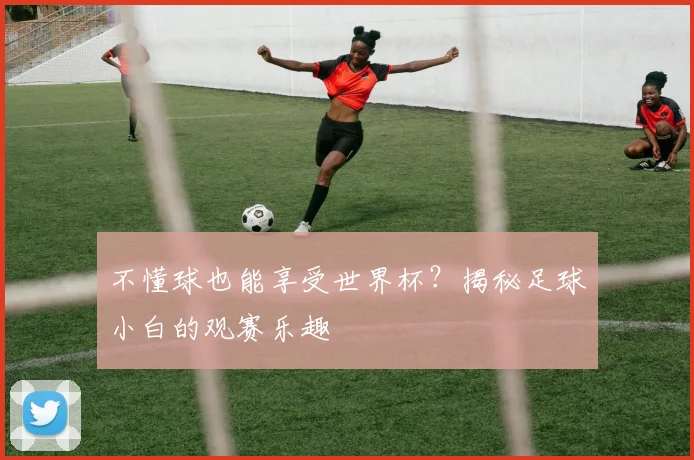 不懂球也能享受世界杯？揭秘足球小白的观赛乐趣